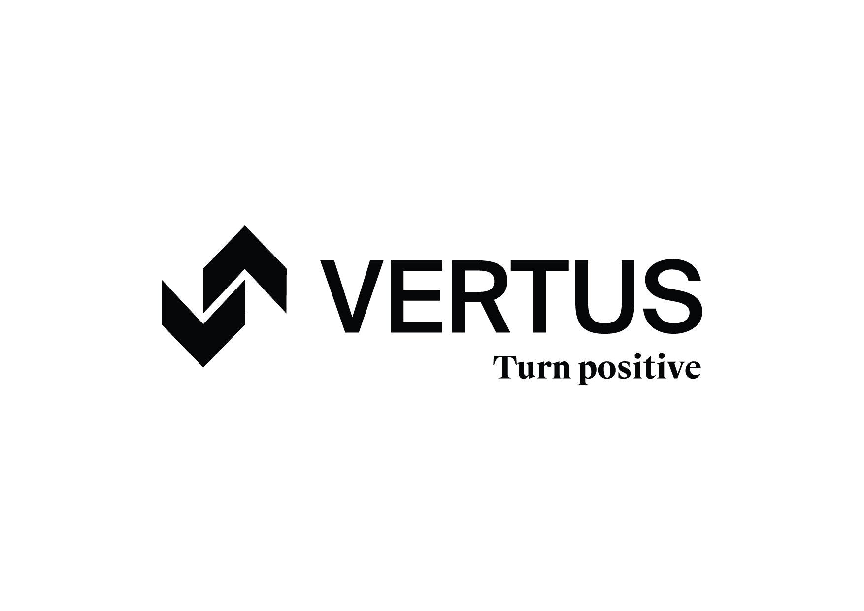 Logo VERTUS